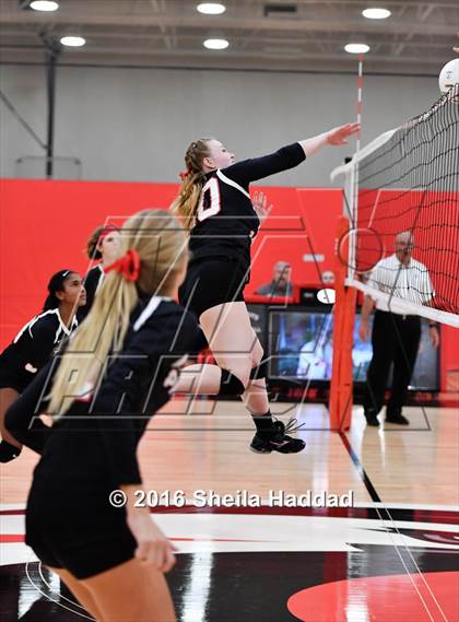 Thumbnail 1 in Canterbury @ Carrollwood Day photogallery.
