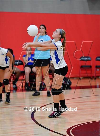 Thumbnail 1 in Canterbury @ Carrollwood Day photogallery.