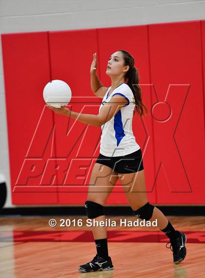 Thumbnail 3 in Canterbury @ Carrollwood Day photogallery.