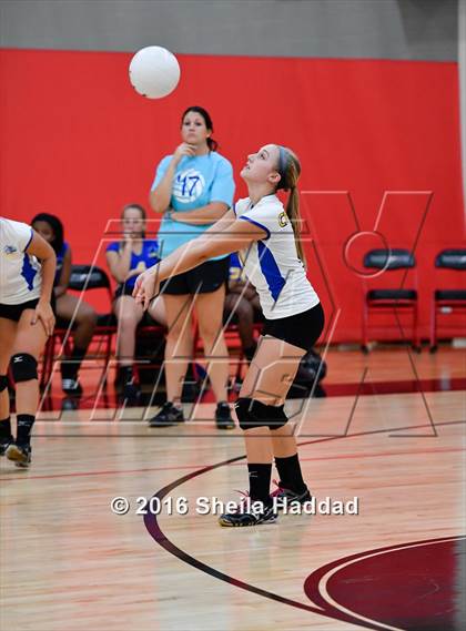 Thumbnail 3 in Canterbury @ Carrollwood Day photogallery.