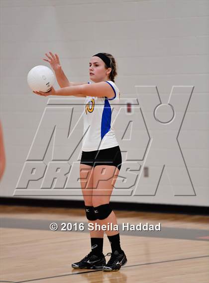 Thumbnail 1 in Canterbury @ Carrollwood Day photogallery.