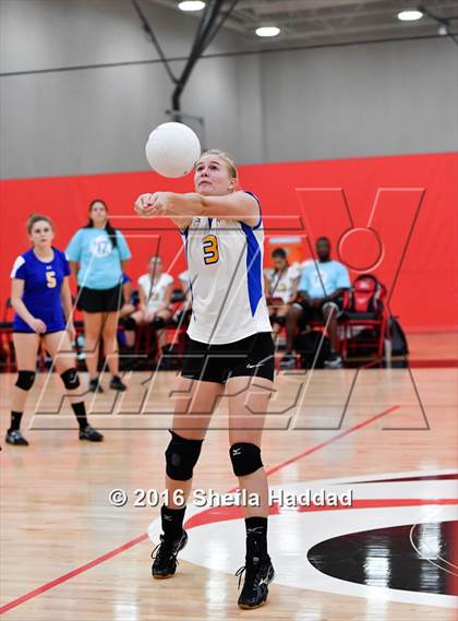 Thumbnail 1 in Canterbury @ Carrollwood Day photogallery.