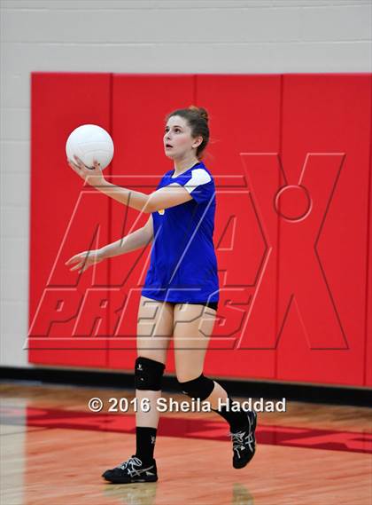 Thumbnail 2 in Canterbury @ Carrollwood Day photogallery.