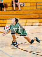 Photo from the gallery "Kennedy @ Laguna Creek"