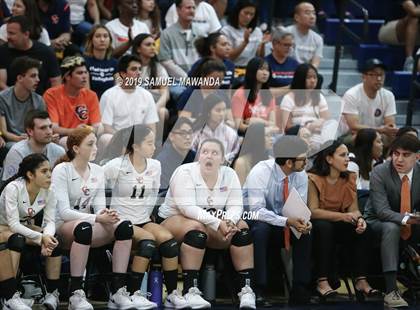 Thumbnail 3 in Chatsworth vs Venice (CIF LACS D1 Final) photogallery.