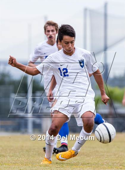 Thumbnail 1 in Armwood vs. Jesuit photogallery.