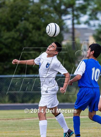 Thumbnail 3 in Armwood vs. Jesuit photogallery.