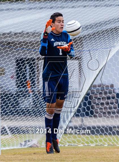Thumbnail 1 in Armwood vs. Jesuit photogallery.