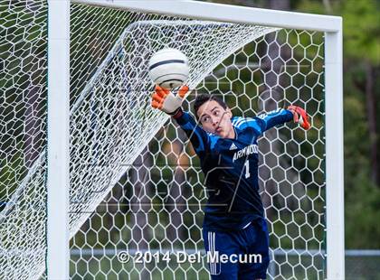 Thumbnail 2 in Armwood vs. Jesuit photogallery.