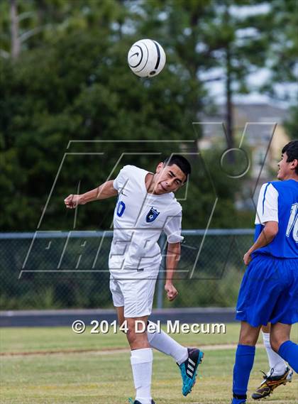 Thumbnail 1 in Armwood vs. Jesuit photogallery.