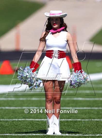Thumbnail 3 in Lewisville @ Allen photogallery.