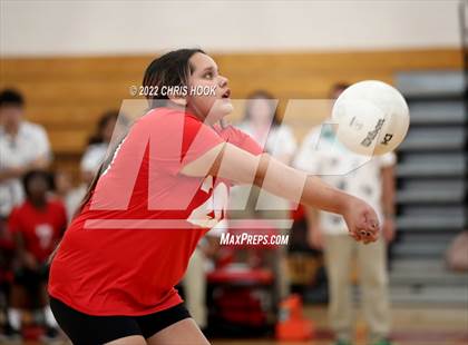 Thumbnail 2 in Cholla @ Tucson High Magnet School photogallery.
