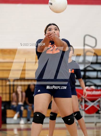Thumbnail 3 in Cholla @ Tucson High Magnet School photogallery.