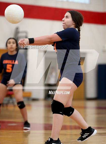 Thumbnail 2 in Cholla @ Tucson High Magnet School photogallery.