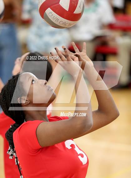 Thumbnail 2 in Cholla @ Tucson High Magnet School photogallery.