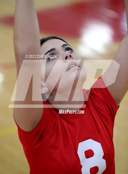 Thumbnail 2 in Cholla @ Tucson High Magnet School photogallery.