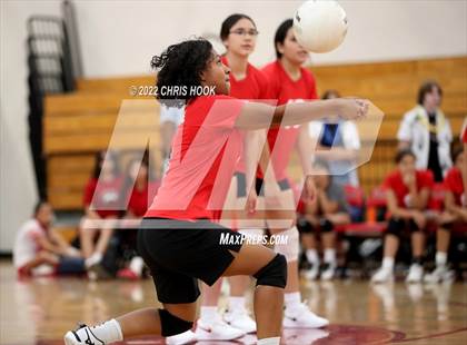 Thumbnail 1 in Cholla @ Tucson High Magnet School photogallery.