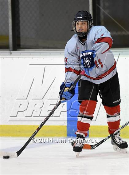 Thumbnail 1 in Nyack/Tappan Zee @ White Plains photogallery.
