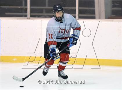 Thumbnail 1 in Nyack/Tappan Zee @ White Plains photogallery.