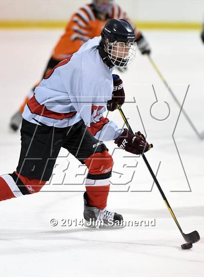 Thumbnail 3 in Nyack/Tappan Zee @ White Plains photogallery.