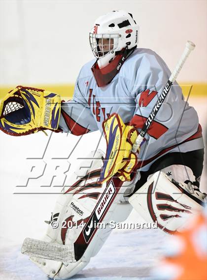 Thumbnail 1 in Nyack/Tappan Zee @ White Plains photogallery.