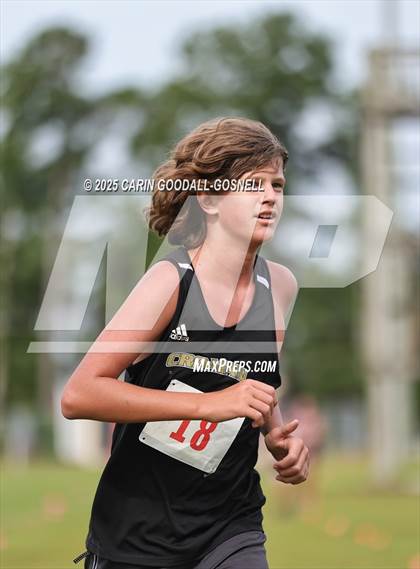 Thumbnail 1 in Fightertown Invitational JV Boys photogallery.