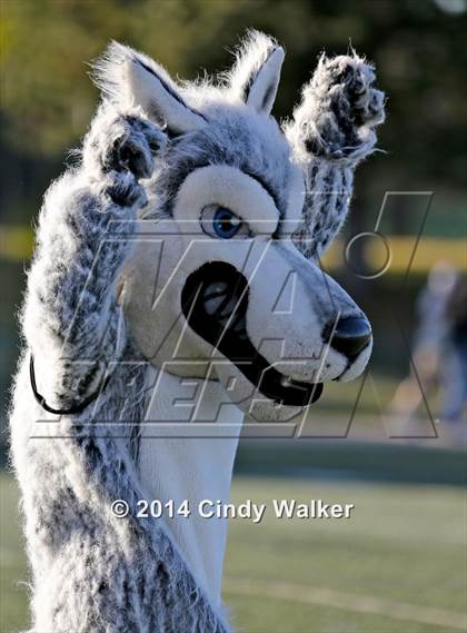 Thumbnail 2 in Conifer vs. Delta (CHSAA 3A Playoff First Round) photogallery.