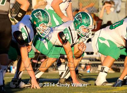 Thumbnail 3 in Conifer vs. Delta (CHSAA 3A Playoff First Round) photogallery.
