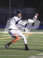 Photo from the gallery "Mountain View @ Carlmont"