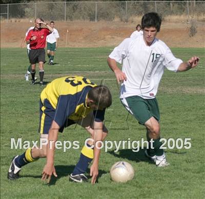 Thumbnail 3 in Rosemont @ Ponderosa photogallery.
