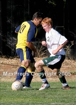 Thumbnail 1 in Rosemont @ Ponderosa photogallery.