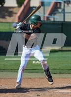 Photo from the gallery "Los Osos @ Damien"