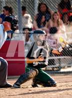 Photo from the gallery "Monterey Trail @ Laguna Creek"