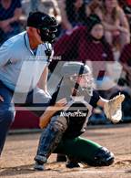 Photo from the gallery "Monterey Trail @ Laguna Creek"