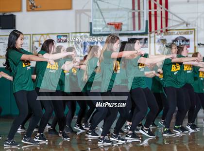 Thumbnail 3 in Royal vs Simi  photogallery.