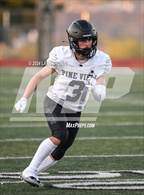 Photo from the gallery "Pine View @ Desert Hills"