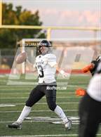 Photo from the gallery "Pine View @ Desert Hills"