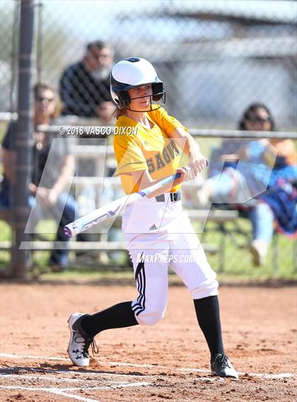 Thumbnail 1 in Saguaro vs. Browne photogallery.