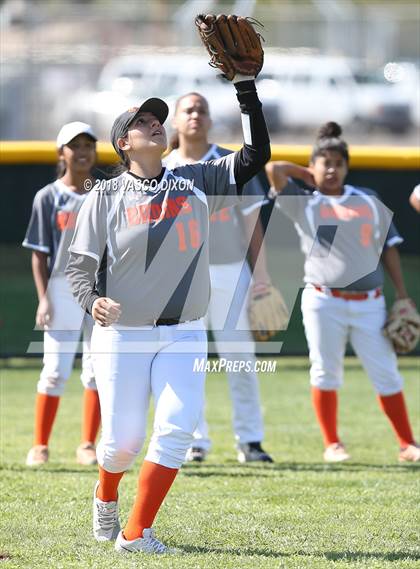 Thumbnail 1 in Saguaro vs. Browne photogallery.