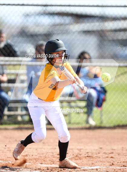 Thumbnail 1 in Saguaro vs. Browne photogallery.