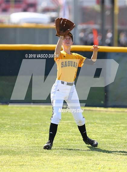 Thumbnail 1 in Saguaro vs. Browne photogallery.