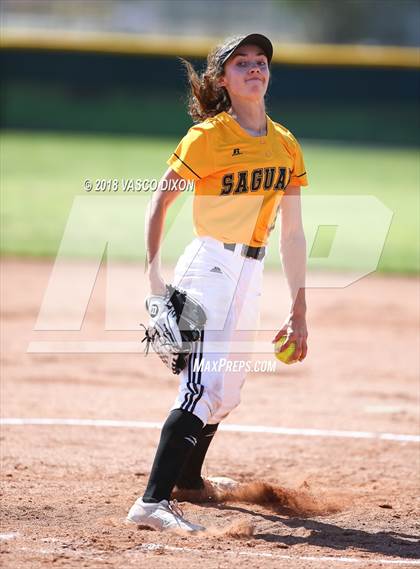 Thumbnail 1 in Saguaro vs. Browne photogallery.