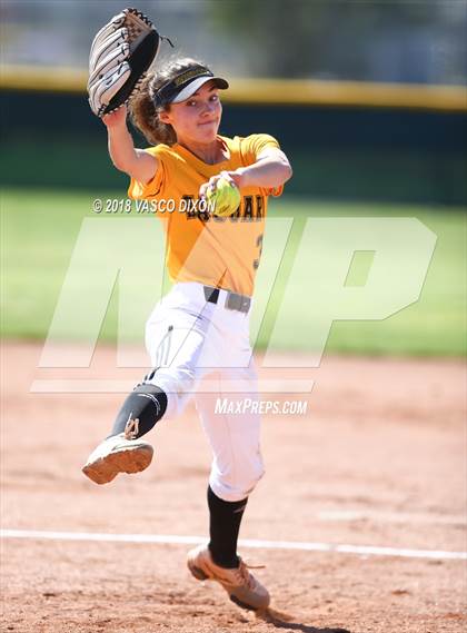 Thumbnail 1 in Saguaro vs. Browne photogallery.