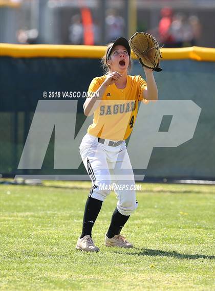 Thumbnail 2 in Saguaro vs. Browne photogallery.