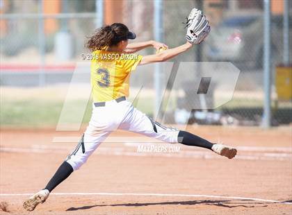 Thumbnail 2 in Saguaro vs. Browne photogallery.