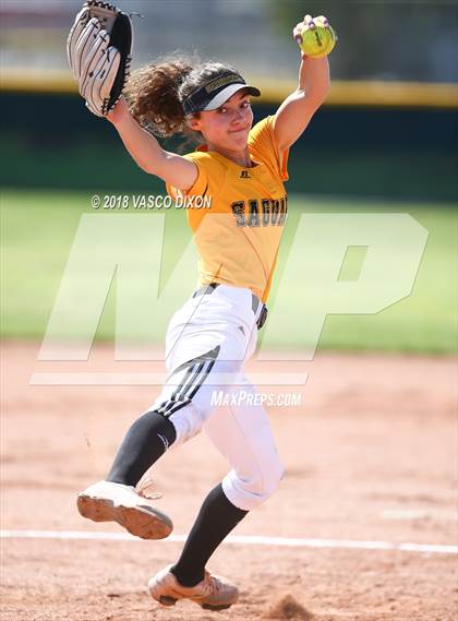 Thumbnail 1 in Saguaro vs. Browne photogallery.