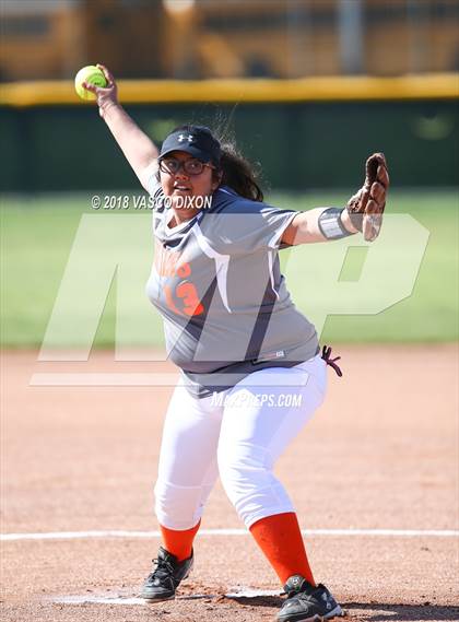 Thumbnail 1 in Saguaro vs. Browne photogallery.
