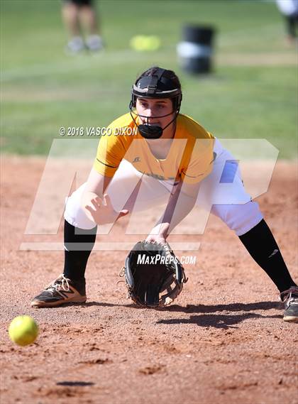 Thumbnail 1 in Saguaro vs. Browne photogallery.