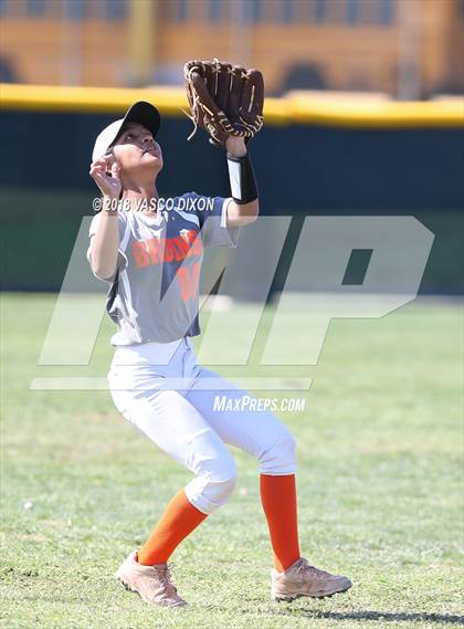 Thumbnail 1 in Saguaro vs. Browne photogallery.