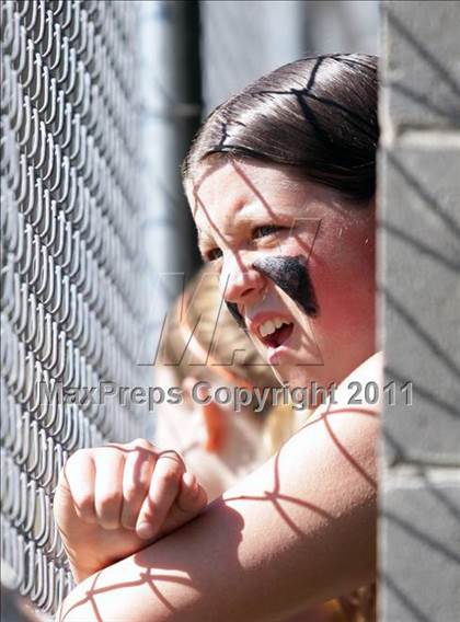 Thumbnail 3 in Port Allegany @ Coudersport photogallery.